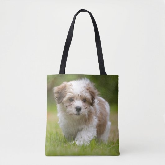 Tote Bag Chiot de Havanese (Devant)