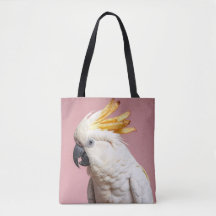 Cockatoo Drôle Avec Crest Fries Français