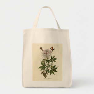 Tote Bag Colibri à col roux, Audubon Birds of America