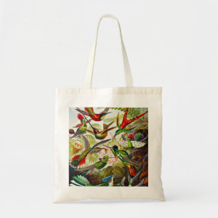 Tote Bag Colibri vintage par Ernst Haeckel