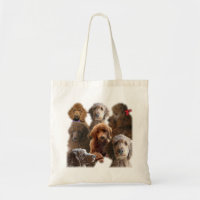 Collage rouge de caniche standard