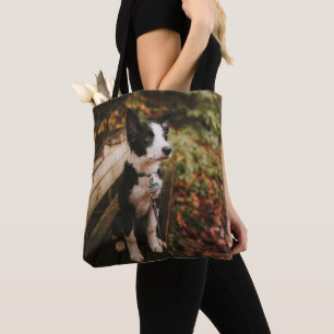 Tote Bag Collie frontalière noire et blanche sur le banc du