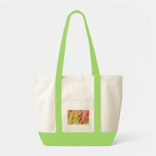 Tote Bag coloris (Devant)