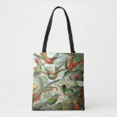 Tote Bag Copie d'art d'Ernst Haeckel : Trochilidae (Devant)