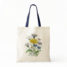 Cornfleurs