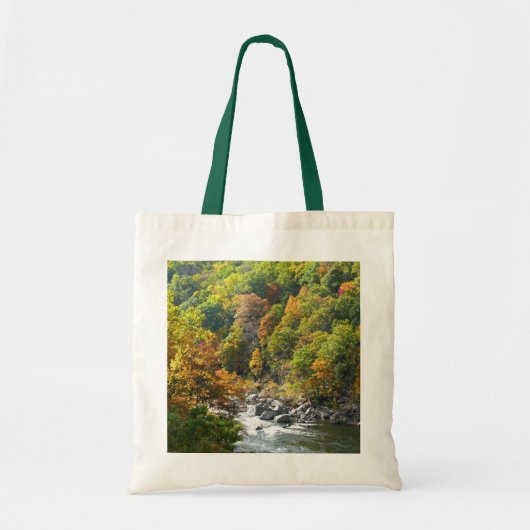 Tote Bag Couleur d'automne dans le parc d'état d'Ohiopyle (Devant)