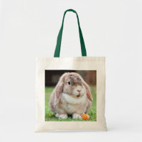 Coupe de lapin dans l'herbe avec carotte