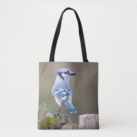 Tote Bag Cute Bleu Jay Songbird sur Treestump (Devant)