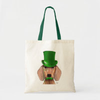 Dachshund avec chapeau vert et moustache