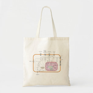 Tote Bag Diagramme des trajectoires de transduction des sig