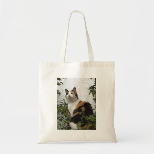 Tote Bag Écaille et chat blanc (Devant)