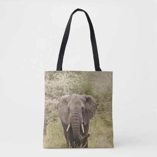 TOTE BAG ÉLÉPHANT REGARDANT UNE VOITURE D'EXCURSION (Devant)