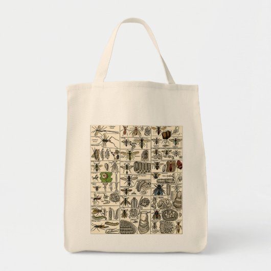 Tote Bag Entomologie vintage (Devant)