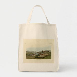 Tote Bag Éperon long de la Laponie, d'Audubon's Birds of Am