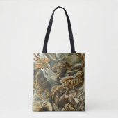 Tote Bag Ernst Haeckel, ancienne illustration de mode Lacer (Devant)