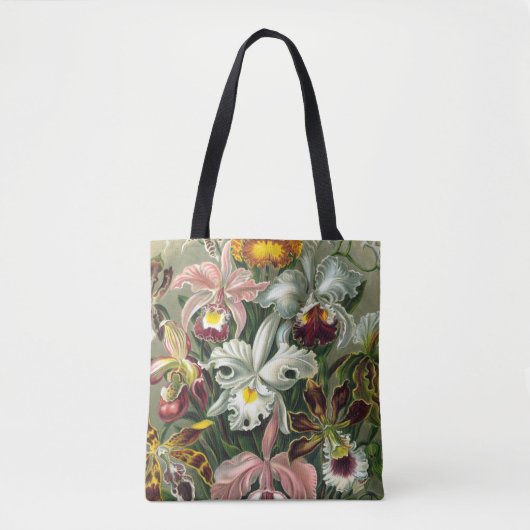 Tote Bag Ernst Haeckel Art Imprimer : Orchidae Oncidiums, t (Devant)