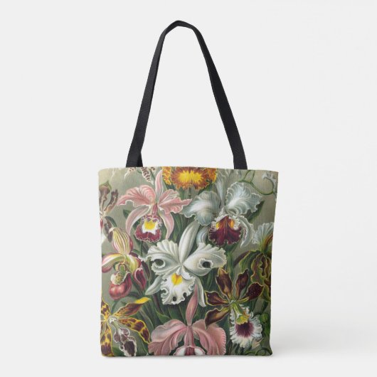 Tote Bag Ernst Haeckel Art Imprimer : Orchidae Oncidiums, t (Dos)