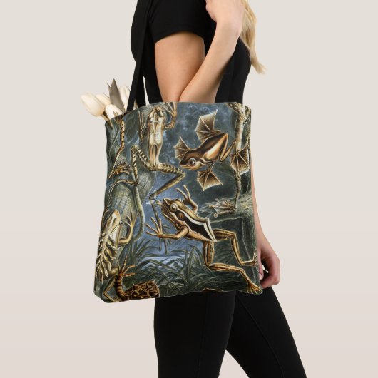 Tote Bag Ernst Haeckel variété de grenouilles exotiques : B (De près)
