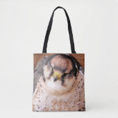 TOTE BAG FALCON (Devant)