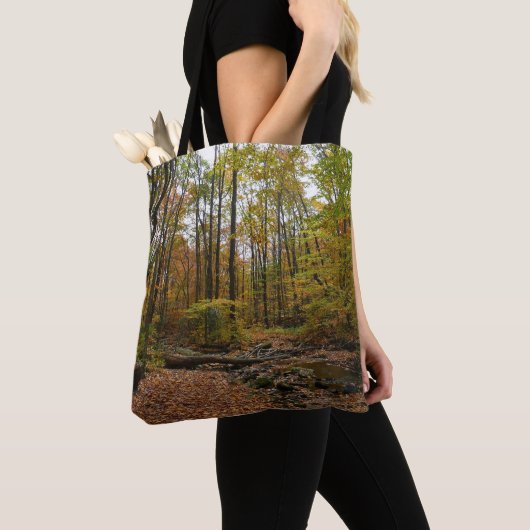 Tote Bag Fall Creek à Laurel Hill State Park Pennsylvania (De près)