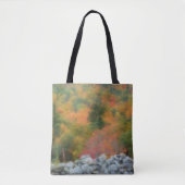 Tote Bag Feuillage d'automne Pierre Mur Nature Art (Devant)