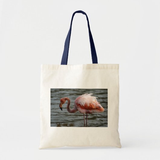 Tote Bag Flamant rose des îles Galapagos (Devant)