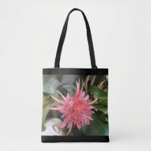Fleur de bromélie
