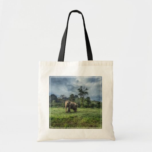 Tote Bag Forêt | Parc national de Kao Sok (Devant)