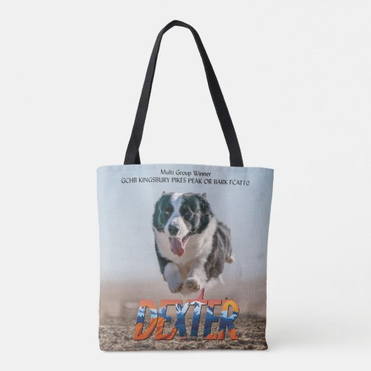 Tote Bag Fun chat rapide (Dos)