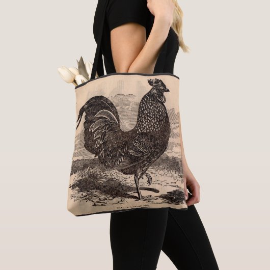Tote Bag Galus Sonneratii du 19e siècle (De près)