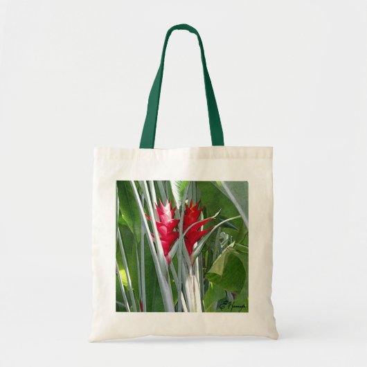 Tote Bag Ginger rouge (Devant)