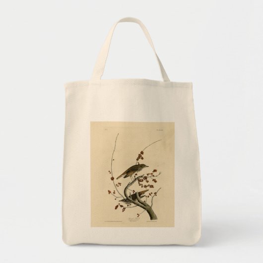 Tote Bag Grive d'ermite des oiseaux d'Amérique d'Audubon (Devant)
