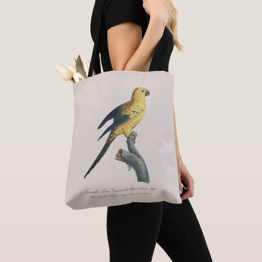 Tote Bag Guarouba dans fils jeune âge / Sun parakeet (De près)