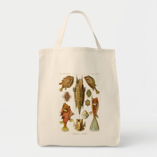 Tote Bag Haeckel Fish (Devant)