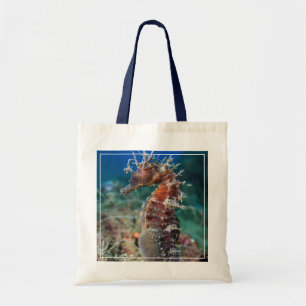 Tote Bag Hippocampe Ramulosus de l'hippocampe