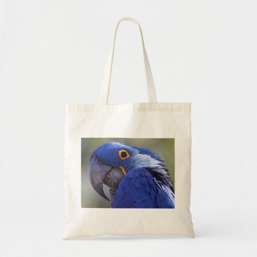 Tote Bag Hyacinth Macaw (Devant)