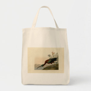 Tote Bag Ibis glacé - Audubon's Birds of America