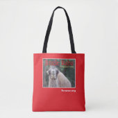 Tote Bag Jingle Baba Le Chameau Le Plus Heureux (Devant)