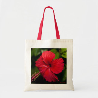 Tote Bag Ketmie rouge lumineuse