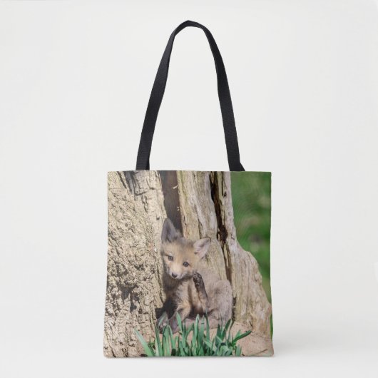 Tote Bag Kit Fox dans la vallée de l'Hudson (Devant)