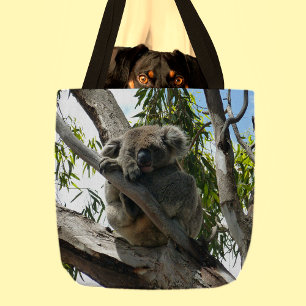 Tote Bag Koala - Dormir