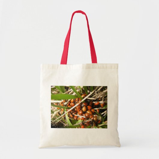 Tote Bag Ladybugs (Coccinellidae) (Devant)