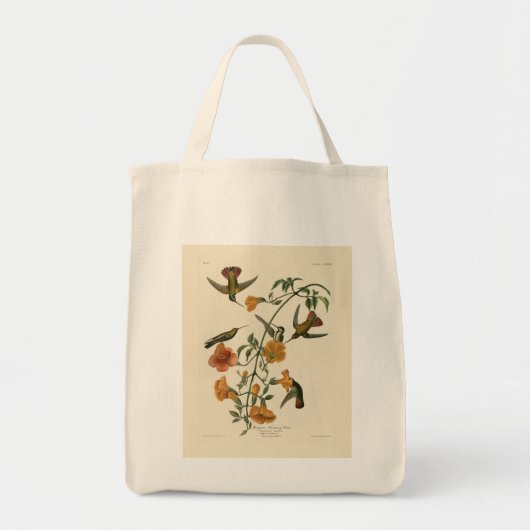 Tote Bag Le colibri mangue des oiseaux d'Amérique d'Audubon (Devant)