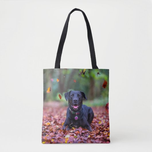Tote Bag Le Labrador Noir Dans Les Feuilles D'Automne (Devant)