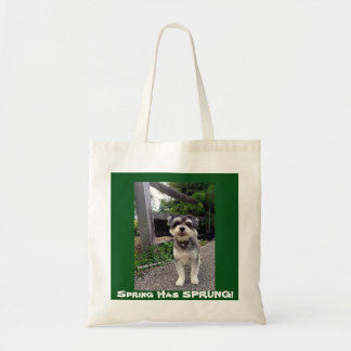 Tote Bag Le ressort du *NEW* 2015 A JAILLI ! Carmin Winston