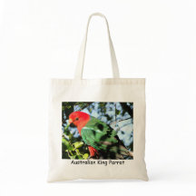 Le Roi australien Parrot