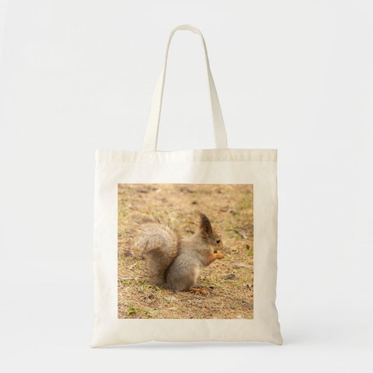Tote Bag L'écureuil mignon mange une photo de noix (Devant)