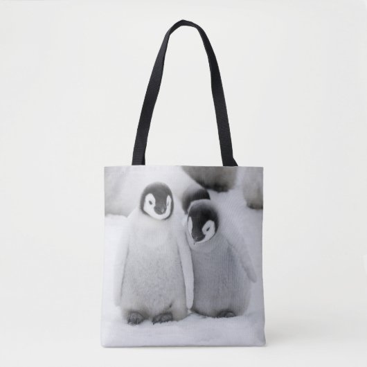 Tote Bag L'empereur Penguin Chicks sur la glace en Antarcti (Devant)