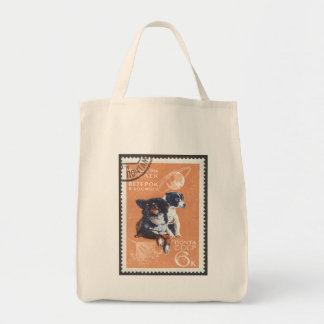 Tote Bag L'espace russe poursuit le cosmos 1966 110