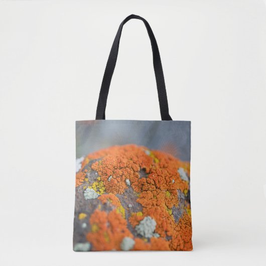 Tote Bag Lichen orange moss pierre gris (Devant)